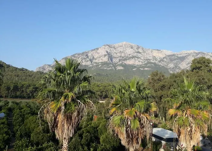 Club Jovia Kemer Otel Antalya, Türkiye